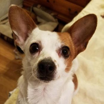 Roxie