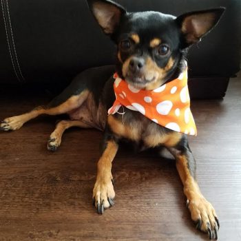 Tila – DFW