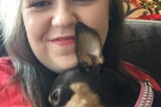 IV. Chihuahua Rescue Stories: Tales of Triumph and Transformation