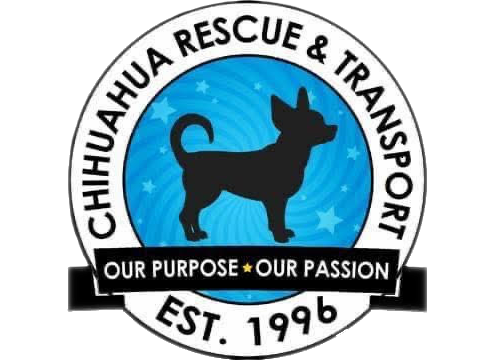 Chihuahua Rescue & Transport