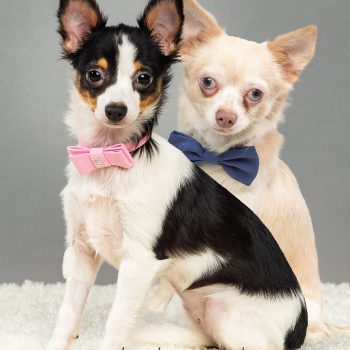 Lottie and Luka – Long Coat
